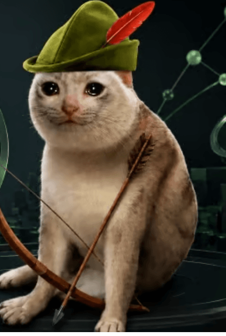 HOODCAT