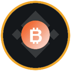 BitMine Immersion Technologies